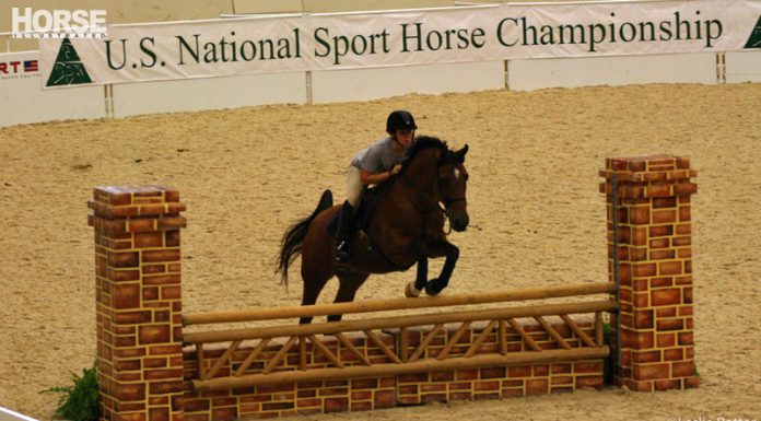 sport horse national