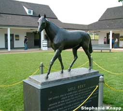 stable tour