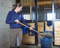 stall cleaning