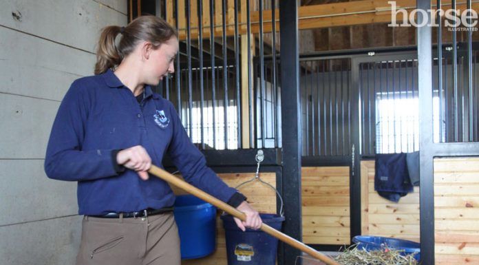 stall cleaning