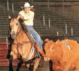 team penning