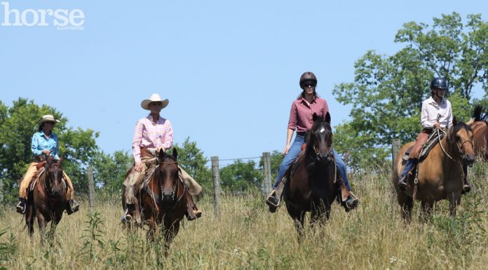 trail group western