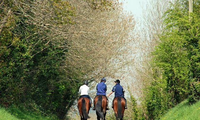 trail ride group english