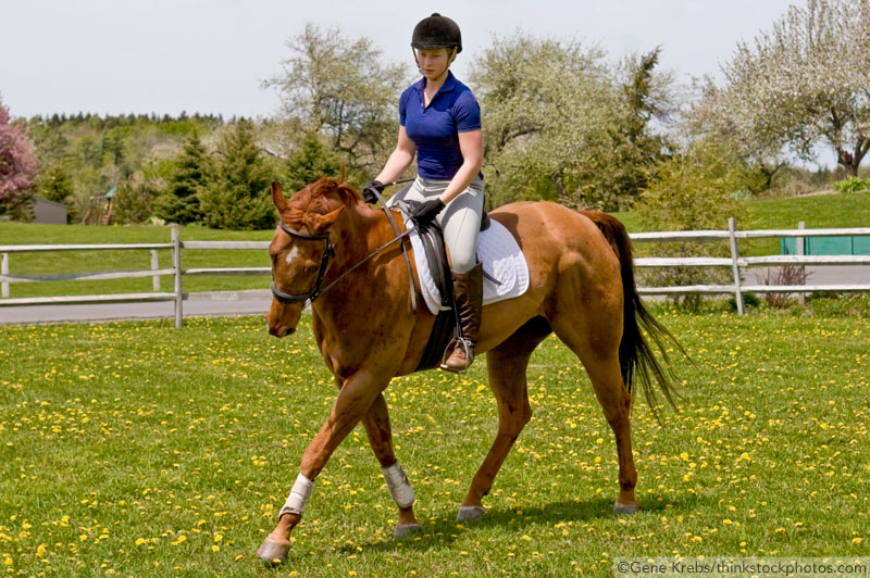 Getting Started with Horses: Riding Apparel - Horse Illustrated