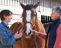 vet horse owner