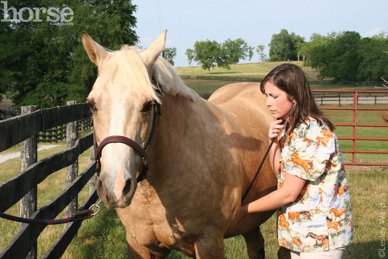 Heart-horse