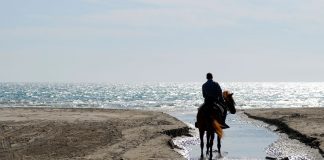 water crossing beach