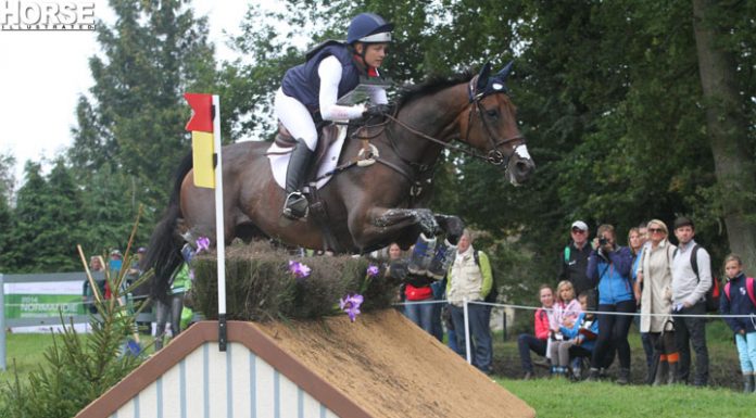 weg xc l symansky