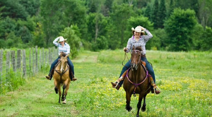 western gallop