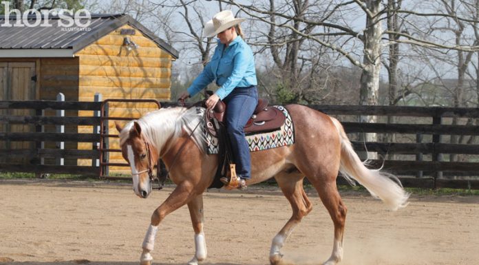 western jog circle