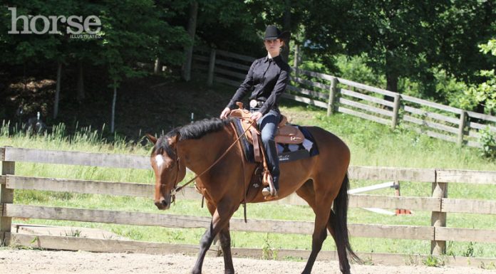 western schooling snaffle