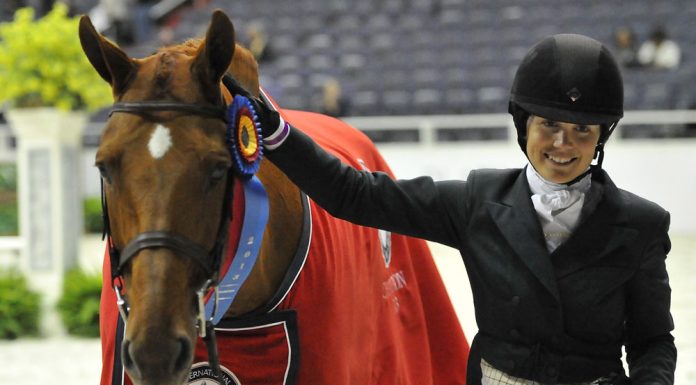 wihs champions danhaki