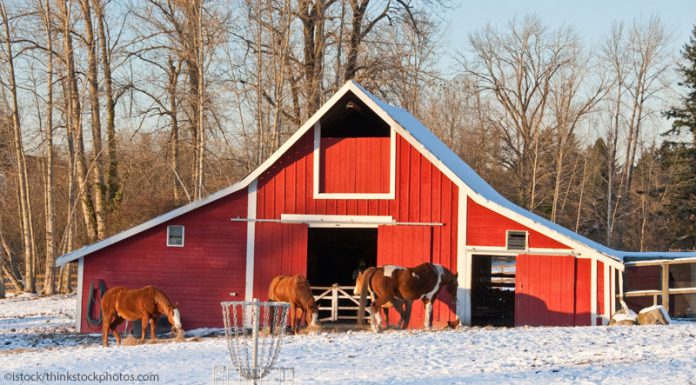 winter barn