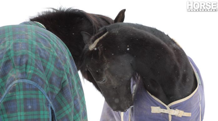 winter bridle path