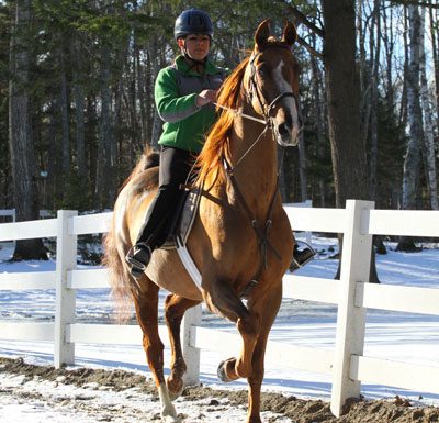 winter riding saddlebred