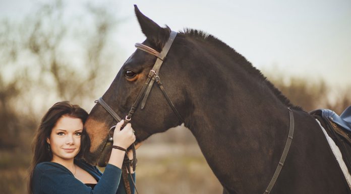 woman and horse