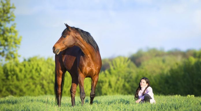 woman not riding horse