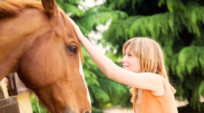 Woman Petting Horse