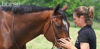 woman with horse