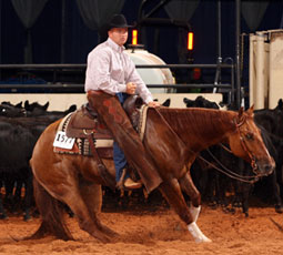 horse world show