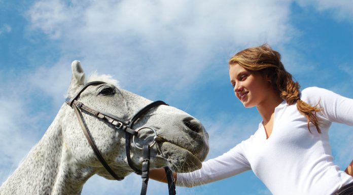 girl and horse