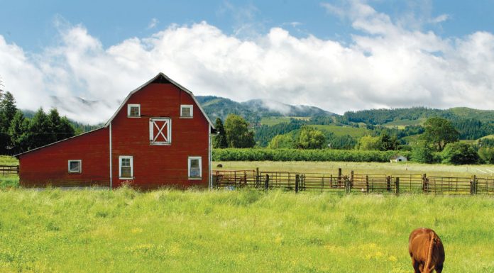 Horse barn