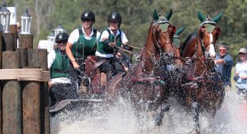 U.S. Drivers Hold on to Top Spot after Marathon Phase at WEG