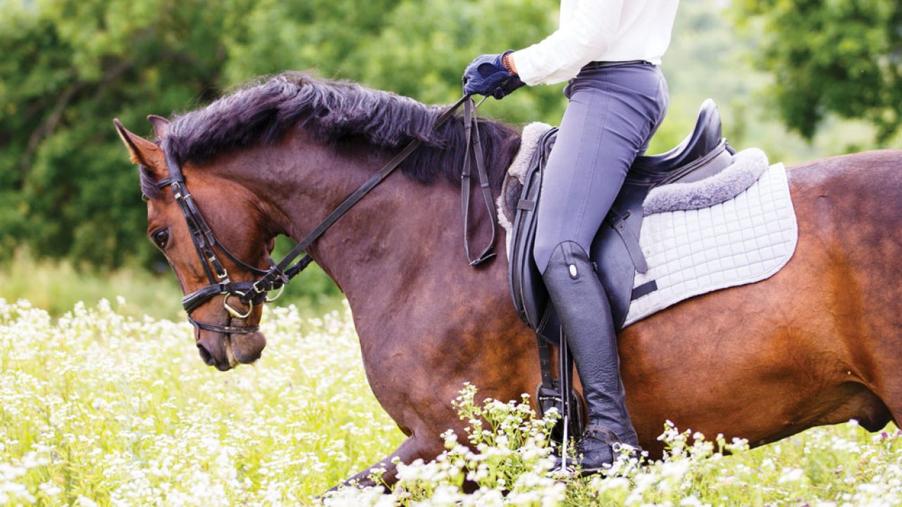 Use Yarn Reins for Gentler Hands - Horse Illustrated