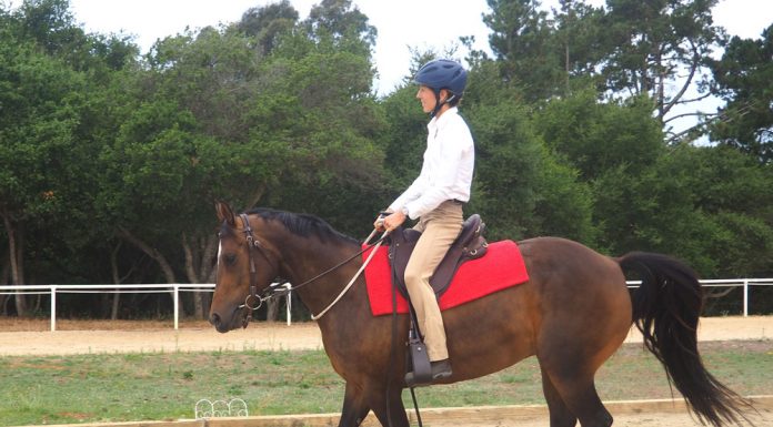 Cantering with a neck rope