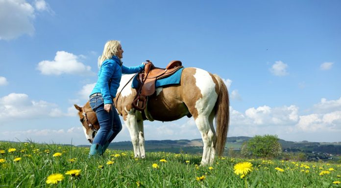 Woman with pinto horse