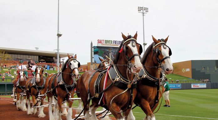 Clydesdale Hitch