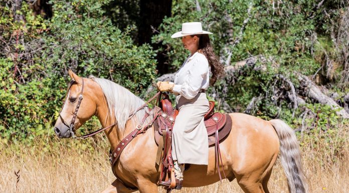 Cowboy Dressage Jog