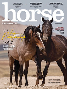 Six Issues Of Horse Illustrated For Just $8.99