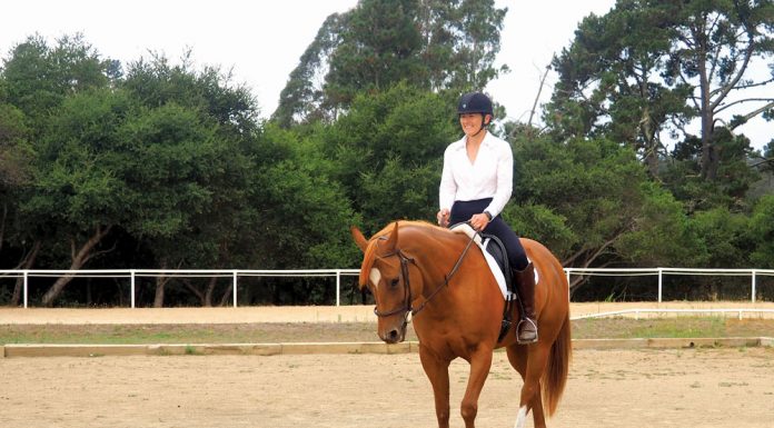 Riding over cavaletti at an angle