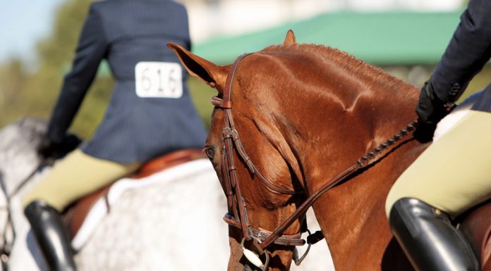 English riding hand position