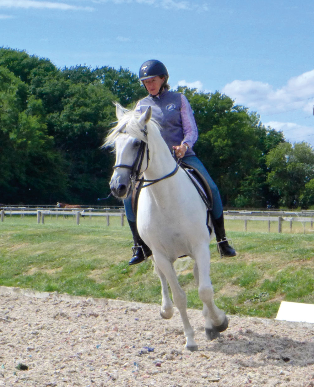 Horse and rider canter transition