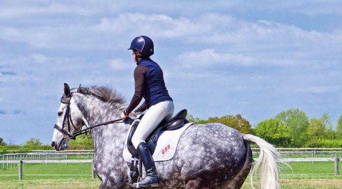 Horse and rider cantering