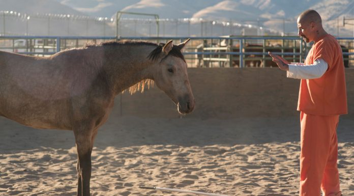 Scene from The Mustang movie