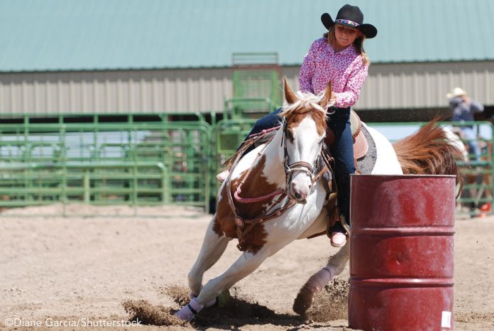 how much do professional barrel racers make