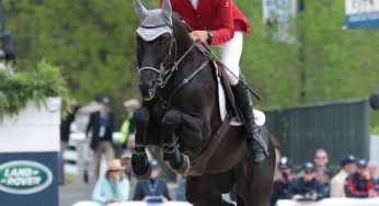 Trakehner
