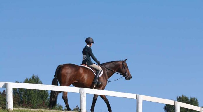 English rider in the warmup ring at a horse show