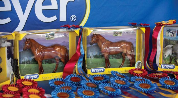 model horses and championship ribbons at a model horse show