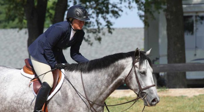 Rider patting a horse after a round at a horse show.