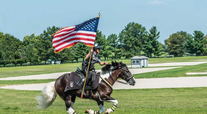 Police horse Oliver with Capt. Lisa Rakes at the Kentucky Horse Park