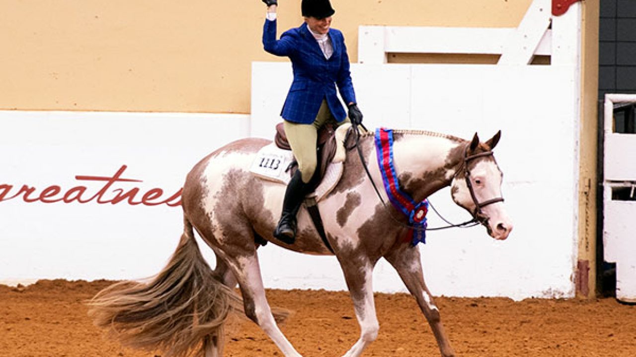 Euro Paint – The biggest APHA Show outside North America!