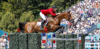 Karl Cook and Caracole de la Roque go clear for the third time at the 2024 Paris Olympics to advance to the Jumping Individual Final