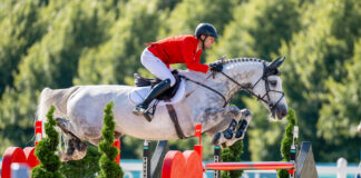 Christian Kukuk (GER) and Checker 47 sail over a jump during the Show Jumping Individual Final at the Paris 2024 Paris Olympic Games equestrian competition