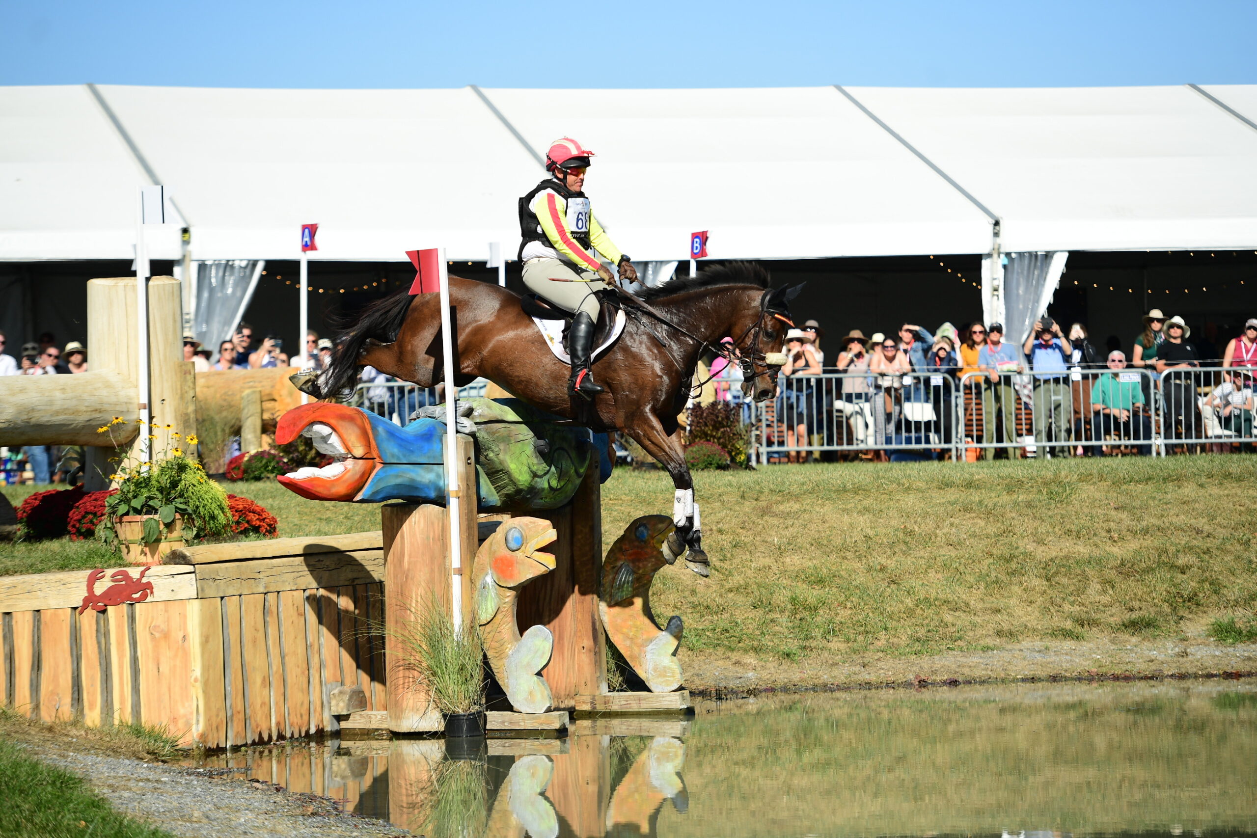 Buck Davidson and Sorocaima on cross-country