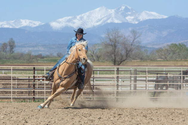 A cowgirl riding a palomino horse with Long's Peak in the background