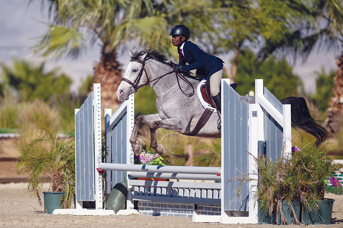 A young boy competing his horse in a hunter class